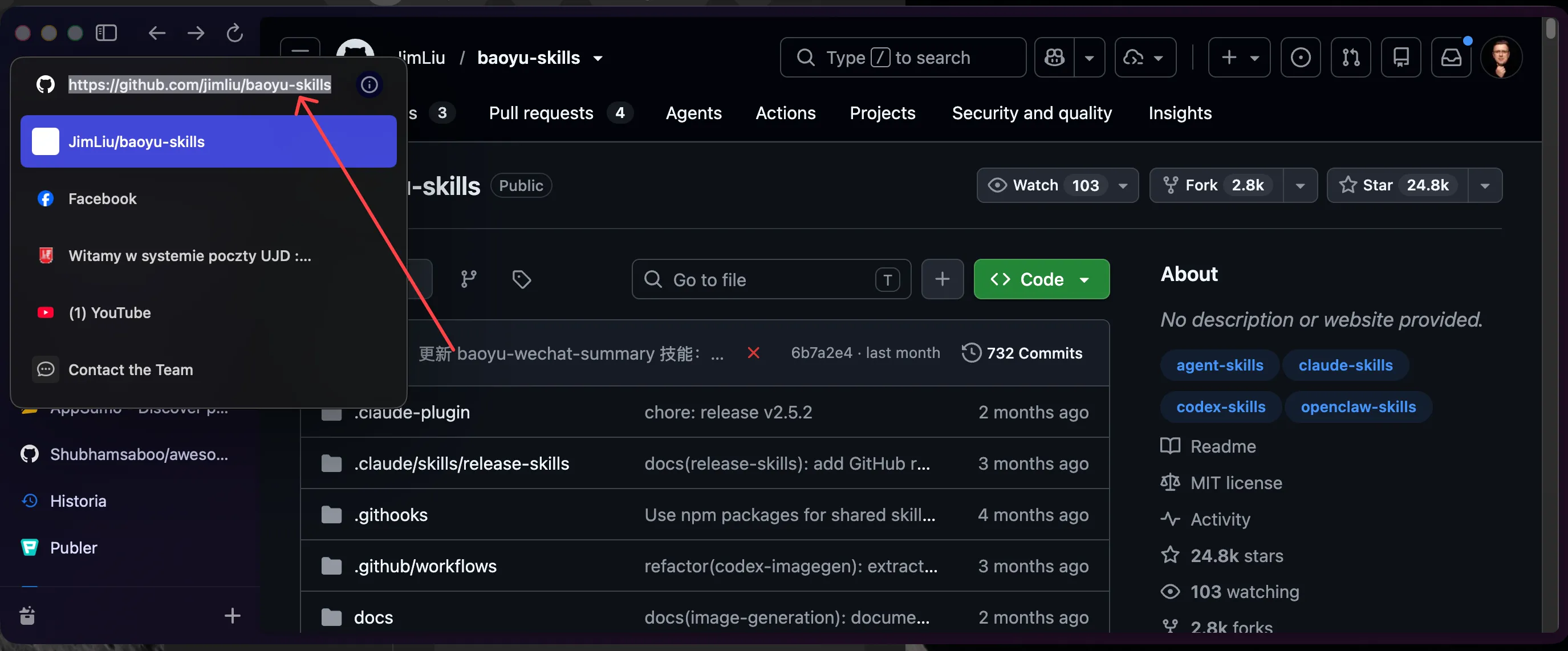 Instalacja skilla z linku GitHub na czacie