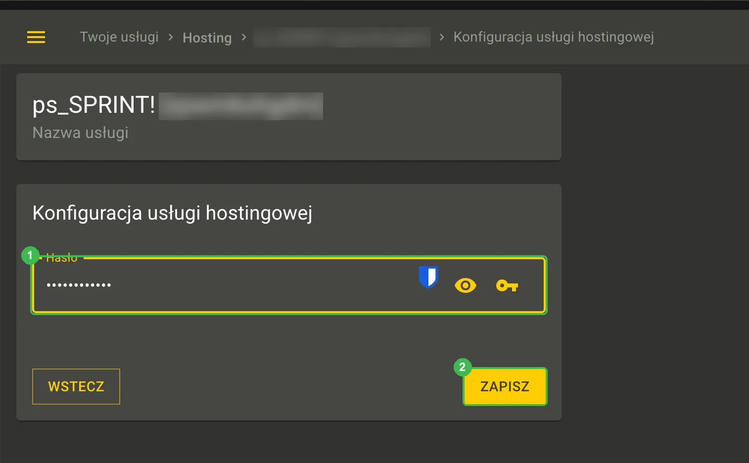 Konfiguracja usługi hostingowej z polem hasła i przyciskiem Zapisz