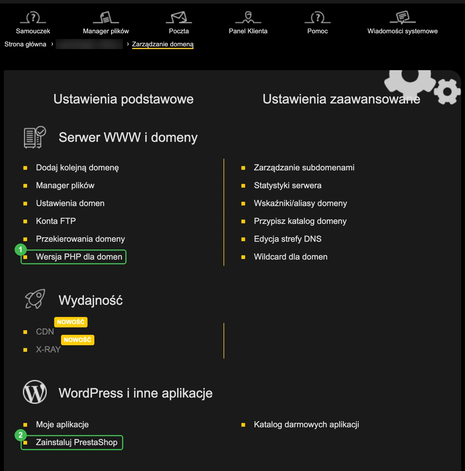 Panel DirectAdmin: zarządzanie domeną z sekcjami Serwer WWW i domeny oraz WordPress i inne aplikacje